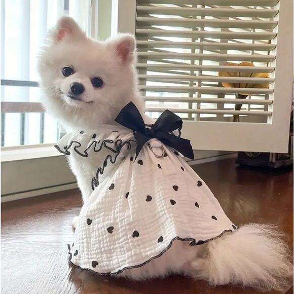 Dog Polka Dot Summer Dress Small Dogs Size Large NWT - Picture 1 of 6